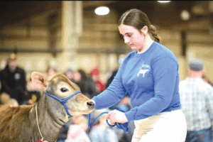Mass. Blue Ribbon Calf Sale coming soon